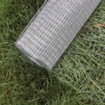 Grillage mailles grille mtall