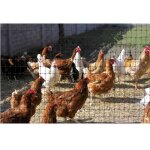 Grillage plastique noir 1x10m