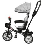 Gris tricycle enfant évolutif pare - soleil pliable canne télescopique amovible 75×46×106cm Gris tricycle enfant évolutif pare - soleil pliable canne télescopique amovible 75×46×106cm