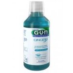 Gum bain de bouche gingidex 300ml