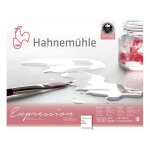 Hahnem�hle ? bloc aquarelle grain fin expression 300?g / m� 20f