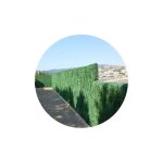 Haie artificielle 110 brins vert pin en rouleau (lot de 6) 1 x 3 m Haie artificielle 110 brins vert pin en rouleau (lot de 6) 1 x 3 m