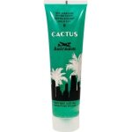 Gel fixant cheveux cactus - hairgum - 100ml - fixation extra forte