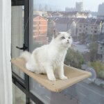 Hamac de fen�tre - chat - transparent - capacit� 20kg - 4 ventouses - int�rieur