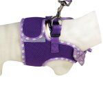 Harnais air mesh et laisse pois violet taille : xs - doogy classic