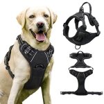 Harnais anti - traction pour grand chien taille m r�glable rembourr� r�fl�chissant avec poign�e