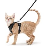 Harnais chat - chien noir xs r�glable - gilet r�fl�chissant respirant - lapin chat europ�en maine coon ...