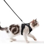 Harnais chat avec laisse harnais chaton respirant et bande rflchissante gilet petit chien rglable ...