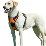 Harnais chien xl arnais orange anti traction r�fl�chissant gilet r�glable pour chien grand taille attache ...