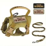 Harnais et laisse pour chat - pzcc - tactique - anti - fugue - ajustable - gilet rembourr� - kaki - grande ...