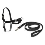 Harnais - petsafe - easy walk - anti - traction - confortable - 4 points de rglage - noir - m