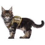 Harnais tactique anti - fugue harnais pour chat - maille souple r�glable