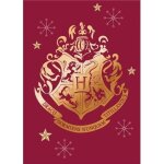 Plaid couverture - harry potter - 100x140 cm - 100% polyester - doux et chaud - anti - peluche