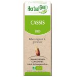 Herbalgem macérat concentré cassis bio 30ml Herbalgem macérat concentré cassis bio 30ml