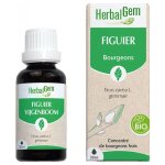 Herbalgem macérat concentré figuier bio 30ml Herbalgem macérat concentré figuier bio 30ml