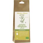 Herbier de france - achilée millefeuille sommité Herbier de france - achilée millefeuille sommité