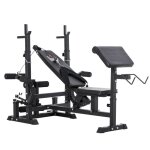 Homcom banc de musculation multifonction rglable pupitre  biceps repose barre curl poignes  dips ...