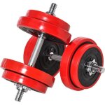 Homcom haltres de 20 kg ensemble dhaltres musculation rglable barre dextension pour entranement musculaire ...