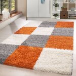 Homebyhome tapis de salon shaggy à poils longs terre cuite tapis 160 x 230 cm design à carreaux doux ... Homebyhome tapis de salon shaggy à poils longs terre cuite tapis 160 x 230 cm design à carreaux doux ...