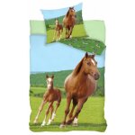 Housse de couette - cheval et poulain - enfant - 100% coton - bleu - 140x200cm