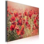 Tableau photo deco sur toile imprime coquelicots nouveaux 80x50cm
