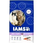 Iams croquettes multicat - 15kg - pour chat adulte et senior