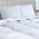 Idmarket couette 220x240 cm aela en plume doie anti acarien 500 gr + 2 oreillers