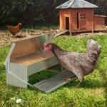 Idmarket mangeoire xl pour poules distributeur automatique  pdale en acier 5 kg
