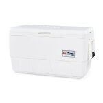 Igloo marine ultra 36 glacire - 31 litre - white