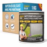 Imperm�abilisant transparent polyur�thane 1kg ? r�sine �tanche anti infiltration pour toiture terrasse ...