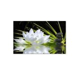 Tableau deco - ambiance zen - fleur de lotus - toile imprim�e 80x50cm - d�coration murale contemporaine ...