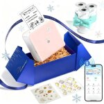 Imprimante portable phomemo p2s 300 dpi - mini imprimante photo sans encre