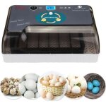 Incubateur oeufs 12 oeufs - mini couveuse a oeuf automatique pour volaille caille oie canard pigeon reptile ...