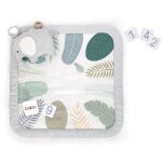 Ingenuity tapis dveil bb tout confort petit elphant 12 cartes tapes mensuelles et tableau personnalisable ...