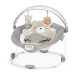 Ingenuity transat bébé confort petit ourson arche déveil lumineuse coussin réducteur amovible Ingenuity transat bébé confort petit ourson arche déveil lumineuse coussin réducteur amovible