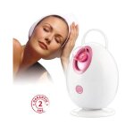Sauna facial lectrique - innovagoods - nano vaporisateur - 90ml - 300w - arrt automatique