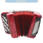 Instrument accord�on accord�on 62 touches avec 60 boutons de basse sac � dos et sangles pour d�butant ...