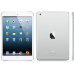 Ipad mini