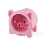 Tirelire cochon