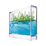 Jeu scientifique - taos - super foret - fourmis et plantes tropicales - kit de gel et accessoires