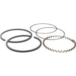 Jeu de segments � 667 mm adaptables pour moteurs tecnamotor / tecumseh mod�les hh60 lav40 tnt100 tvs100 ...