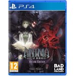 Jeu vido - badland - anima: gate of memories - dition arcane - ps4 - collector - inclus cd et artbook ...