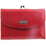 Jolie portefeuille femme cuir rouge tout - en - un ?