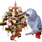 Jouets en blocs de bois multicolores naturels pour perroquets gris dafrique et amazones .