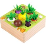Jouet en bois jeu de tri motricit fine jouets bebe montessori jouet enfant 1 2 3 ans