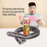 Jouet farce - non spécifié - boîte de chips de pomme de terre - serpent de printemps - plastique - 22x75 ... Jouet farce - non spécifié - boîte de chips de pomme de terre - serpent de printemps - plastique - 22x75 ...