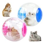 Jouet - hamster - balle de gymnastique - transparent - sr et durable - lger et portable