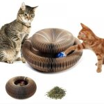 Jouet interactif pour chatgriffoir chats avec boule de jouet magic organ cat scratching board grattoir ...