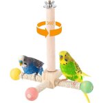 Jouet interactif rotatif pour perroquet - perchoir rotatif - support dexercice rotatif en bois - jouet ...