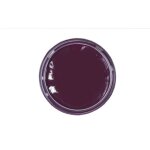 Kaps crme dlicate ? crme de cirage cuir naturel et synth ? soin chaussures professionnel ? soin intensif ...